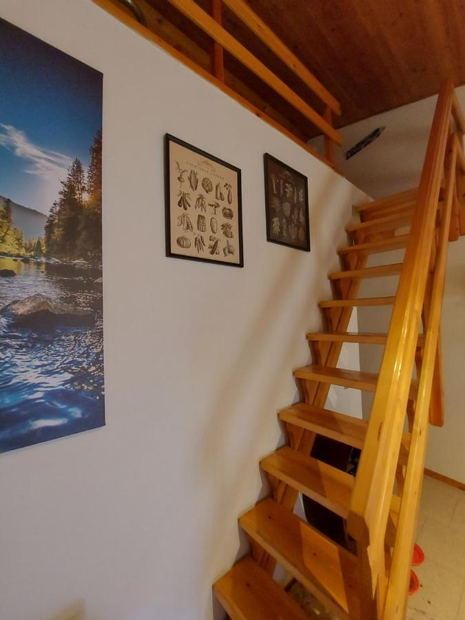 Casa Lorenzo - Nel Centro Storico Di Fiumalbo Lejlighed Eksteriør billede